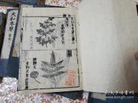 大和本草 全10冊揃 (16巻8冊 附録2巻1冊 諸品圖3巻1冊)