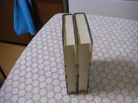 Young Japan : Yokohama and Yedo, 1858-79 全2冊揃