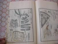 植学啓原 三巻のみ  1冊 