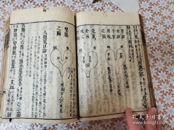 Amazon.co.jp: BM140イ「格致餘論諺解」 格致余論諺解 全2巻揃