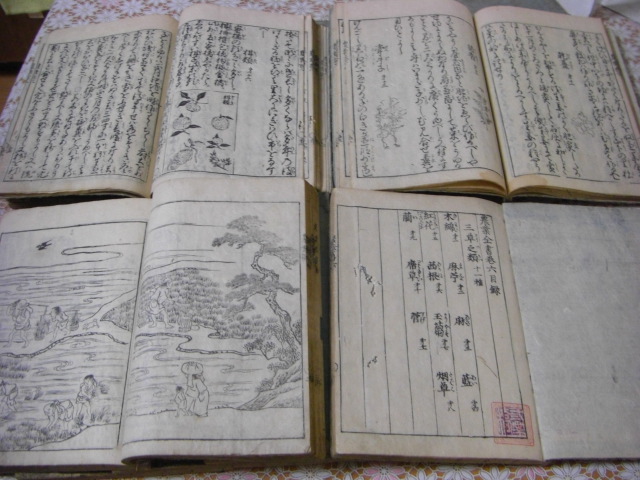 農業全書 附録共 全11冊揃(宮崎安貞,貝原楽軒) / 古本、中古本、古書籍