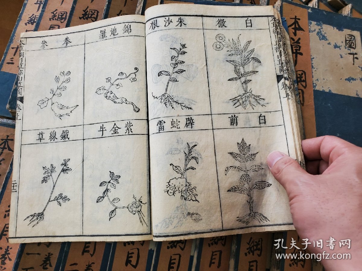 重訂 本草綱目 二帙 全42冊揃（序目-52卷図3卷、脉訣攷證, 瀕湖脉学