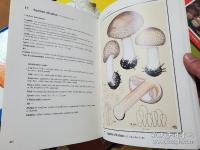 Fungi Europaei  1-10巻の12冊 
 ヨーロッパの菌類