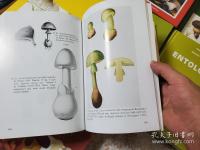 Fungi Europaei  1-10巻の12冊 
 ヨーロッパの菌類