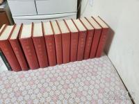 原刊本影印 新青年 全13冊揃