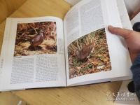 Handbook of the birds of the world Vol.1-15巻の15冊
世界の鳥類ハンドブック