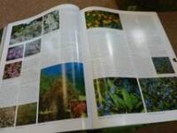 FLORA THE GARDENER´S BIBLE 2分冊/CD-ROM1枚付