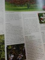 FLORA THE GARDENER´S BIBLE 2分冊/CD-ROM1枚付