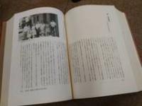 植民七十年史 親日新興国 メキシコ国情大観 
