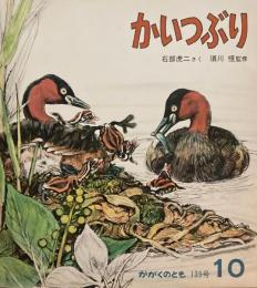 かいつぶり　かがくのとも139号　1980年10月号