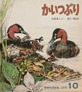 かいつぶり　かがくのとも139号　1980年10月号