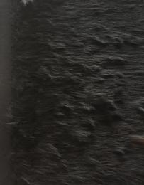 シュルレアリスム展　謎をめぐる不思議な旅　特装版