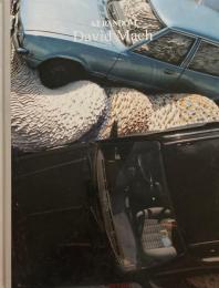 ArT RANDOM 74　David Mach　アート・ランダム