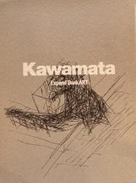 Kawamata Expand BankART　川俣正