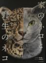 家のネコと野生のネコ
