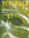 森の小さなアーティスト　たくさんのふしぎ58号 　1990年1月号