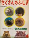 似たもの動物園　たくさんのふしぎ85号　1992年4月号