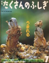 うまれる　たくさんのふしぎ76号 　1991年7月号