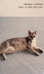 This Is Not My Cat  Takashi Homma　ホンマタカシ　
