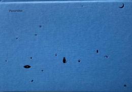 PANORAMA  Fanette Mellier