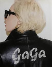 LADY GAGA　Terry Richardson　日本語版