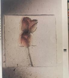 REVELATION 浅井康弘写真集 レヴェラシオン