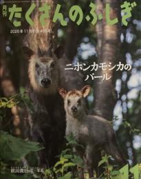 ニホンカモシカのパール　たくさんのふしぎ488号　2025年11月号