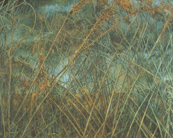 福田玲子作品集 1984 1998年 即興堂 古本 中古本 古書籍の通販は 日本の古本屋 日本の古本屋 福田玲子作品集 1984 1998年 即興堂 古本 中古本 古書籍の通販は 日本の古本屋 日本の古本屋
