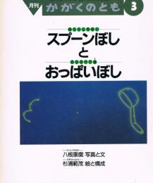 スプーンぼし(ほくとしちせい)とおっぱいぼし(カシオペア座)