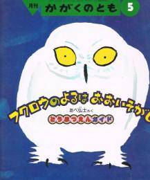 フクロウのよるはおおいそがし : どうぶつえんガイド