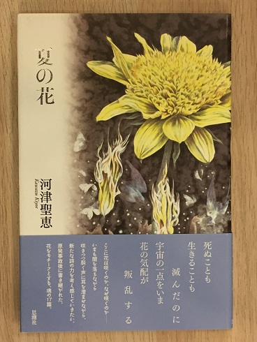 植物図鑑(四季花ごよみ)全5冊 講談社 カバー・帯付き（講談社