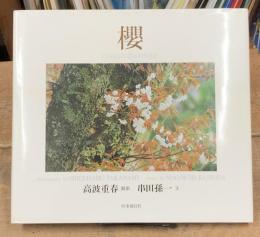 櫻　