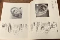 美術の窓　1982年 5月号　特集；ダリ展　ほか