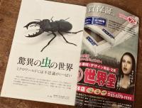 美術の窓 No.386　2015年 11月号　特集；驚異の虫の世界　ほか