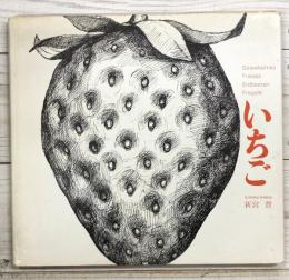 いちご　Strawberries Fraises Erdbeeren Fragole