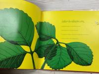 いちご　Strawberries Fraises Erdbeeren Fragole