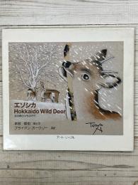 エゾシカ Hokkaido Wild Deer