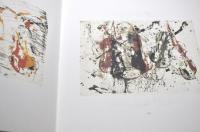 Arman Estampes　Catalogue Raisonne　フランス語