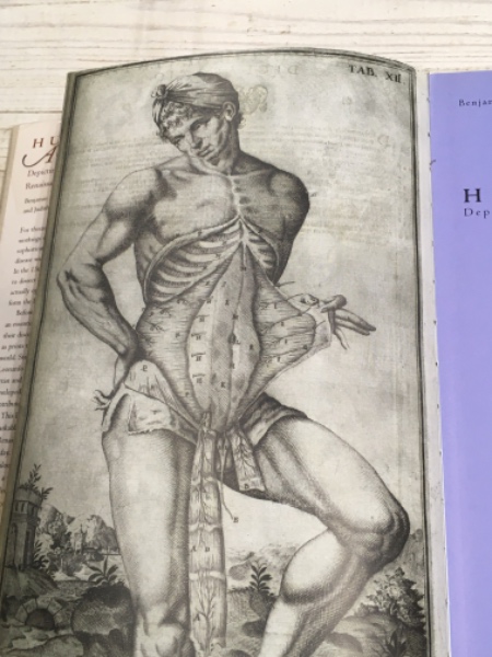 Human Anatomy Illustrating the Body 人体解剖学・身体の図解