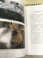 佐倉城跡発掘調査報告　函あり・全2冊セット