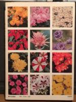 カラー版 草花園芸 2　鉢花