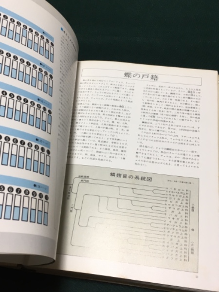 原寸画像 検索 原寸画像 検索