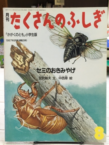 セミのおきみやげ 月刊たくさんのふしぎ 29号 1987年8月号(宮武 頼夫 