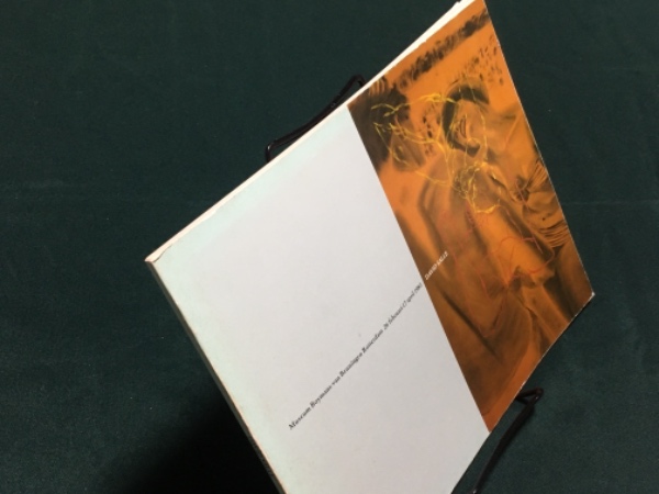 DAVID SALLE 1983年 デヴィッド・サーレ展図録 / ボイマンス