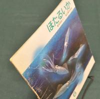 ほたるいか　かがくのとも　1985年6月号 通巻195号