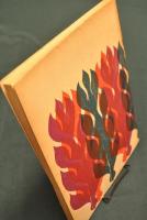 Freudenfeuerwerk　木版画 「花火」 ドイツ語　