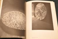 戸谷成雄　TOYA Shigeo Woods 1984-1987　（図録）