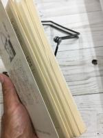 竹のはなし 日本人のくらしに深く融けこんだ竹の神秘を科学する