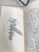 竹のはなし 日本人のくらしに深く融けこんだ竹の神秘を科学する