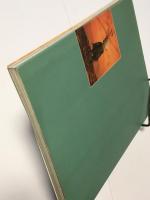 与勇輝展　（妖精の森） 図録